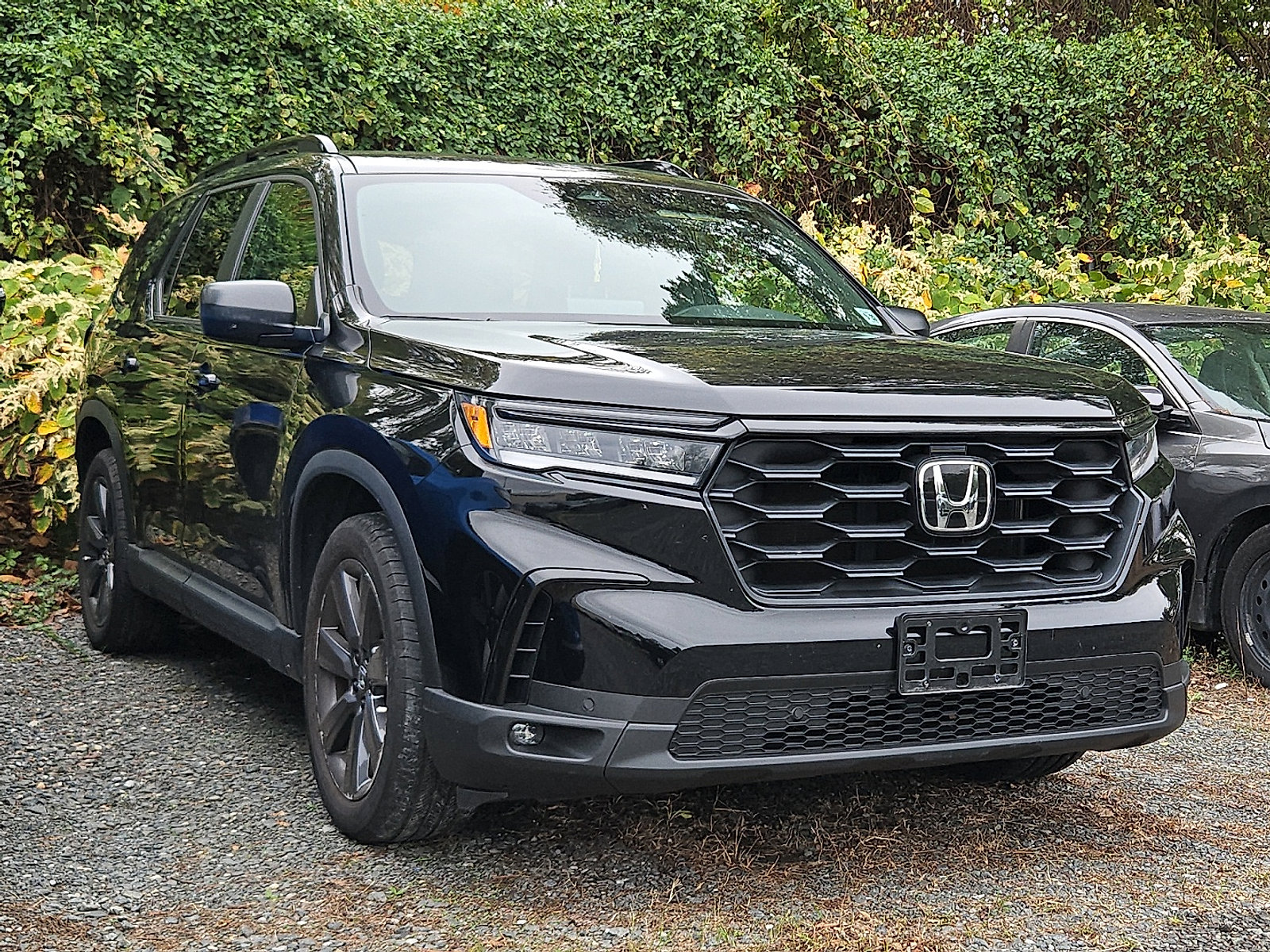 Used 2023 Honda Pilot Sport image 5