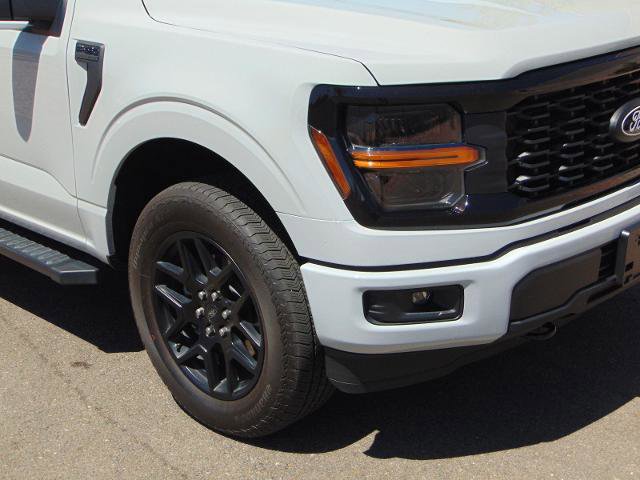 Certified 2024 Ford F150 STX w/ STX Black Appearance Package image 2