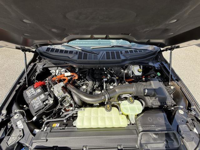New 2025 Ford F150 XLT image 34