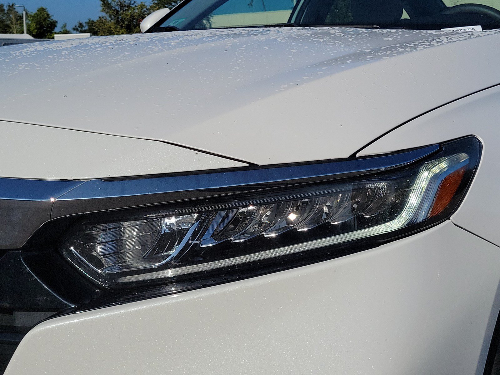 Used 2020 Honda Accord EX image 10