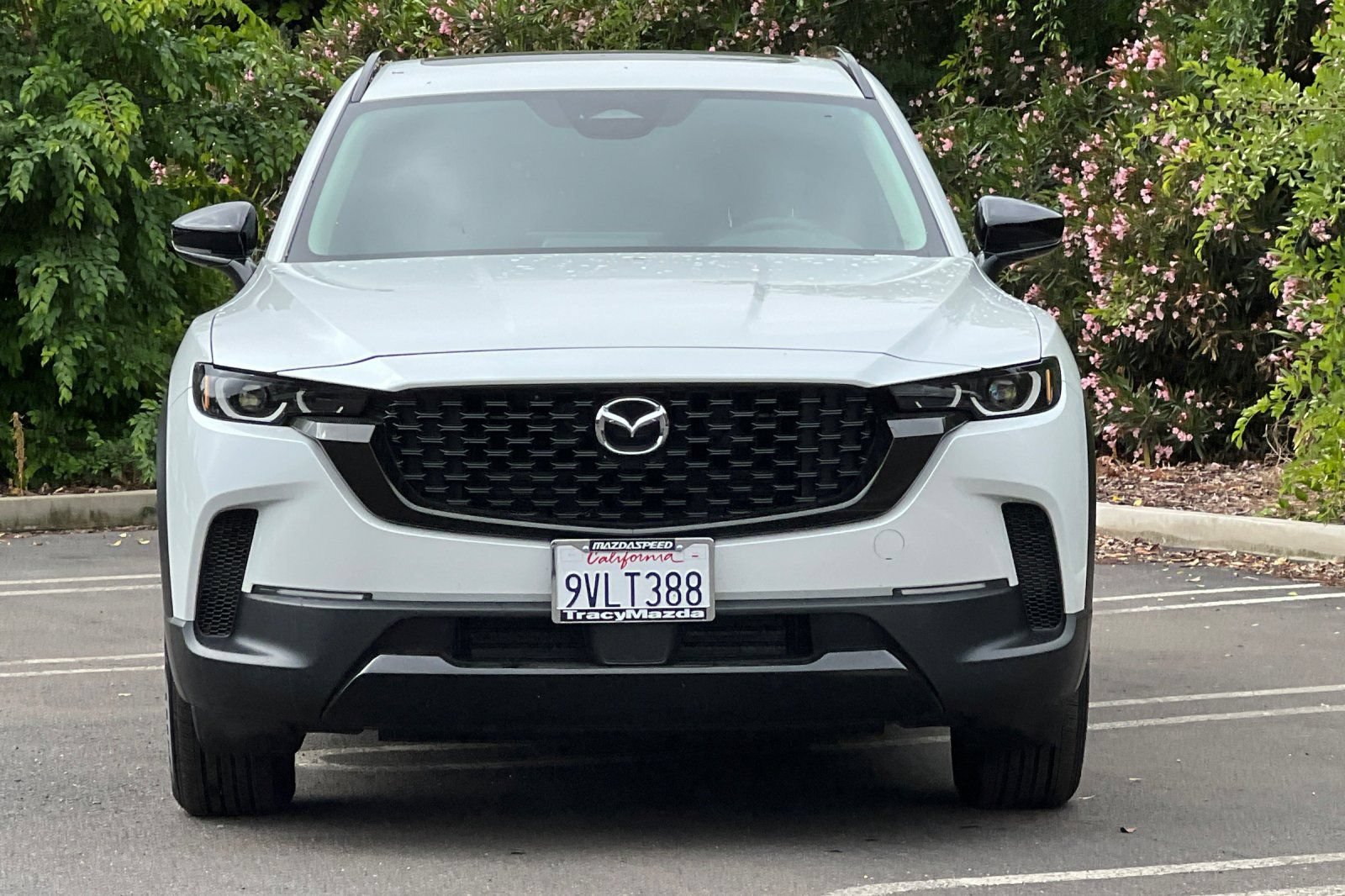 Certified 2025 MAZDA CX-50 AWD 2.5 Hybrid w/ Weather Package image 11
