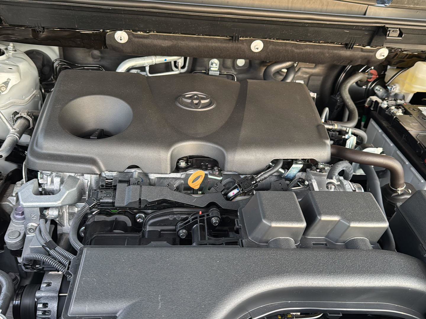 Certified 2025 Toyota RAV4 XLE Premium image 31