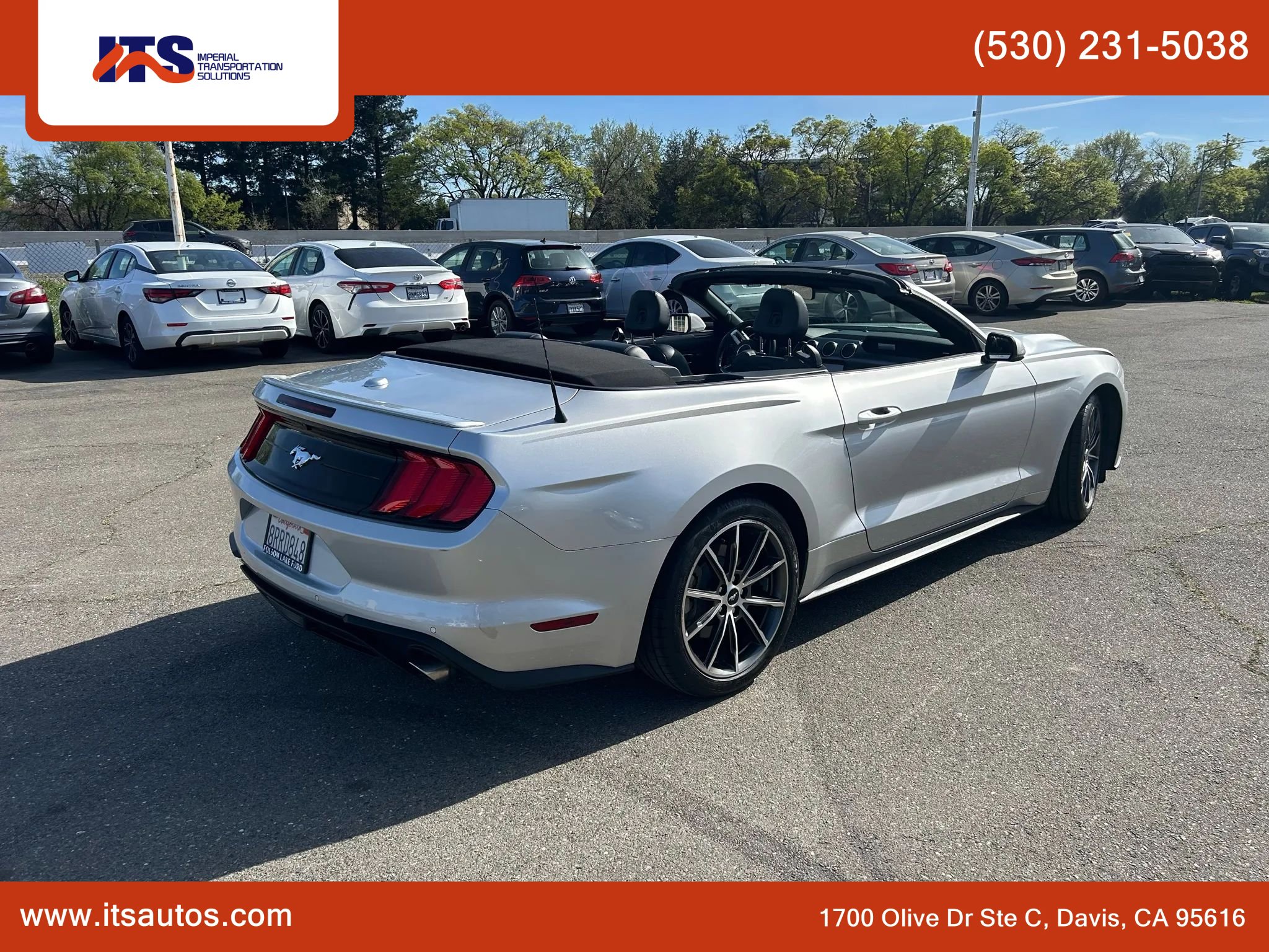 Used 2019 Ford Mustang Premium w/ Equipment Group 201A image 4