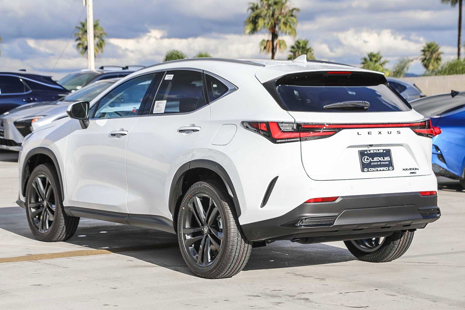 New 2026 Lexus NX 450h+ 450h+ Luxury image 5