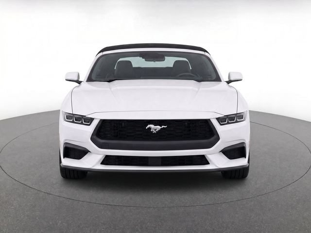 Used 2024 Ford Mustang Premium RWD image 5