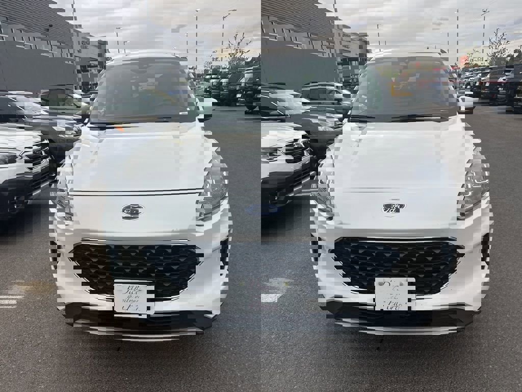 Used 2020 Ford Escape SE image 2