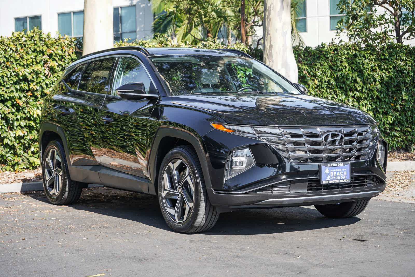 Used 2024 Hyundai Tucson Limited AWD/4WD image 3