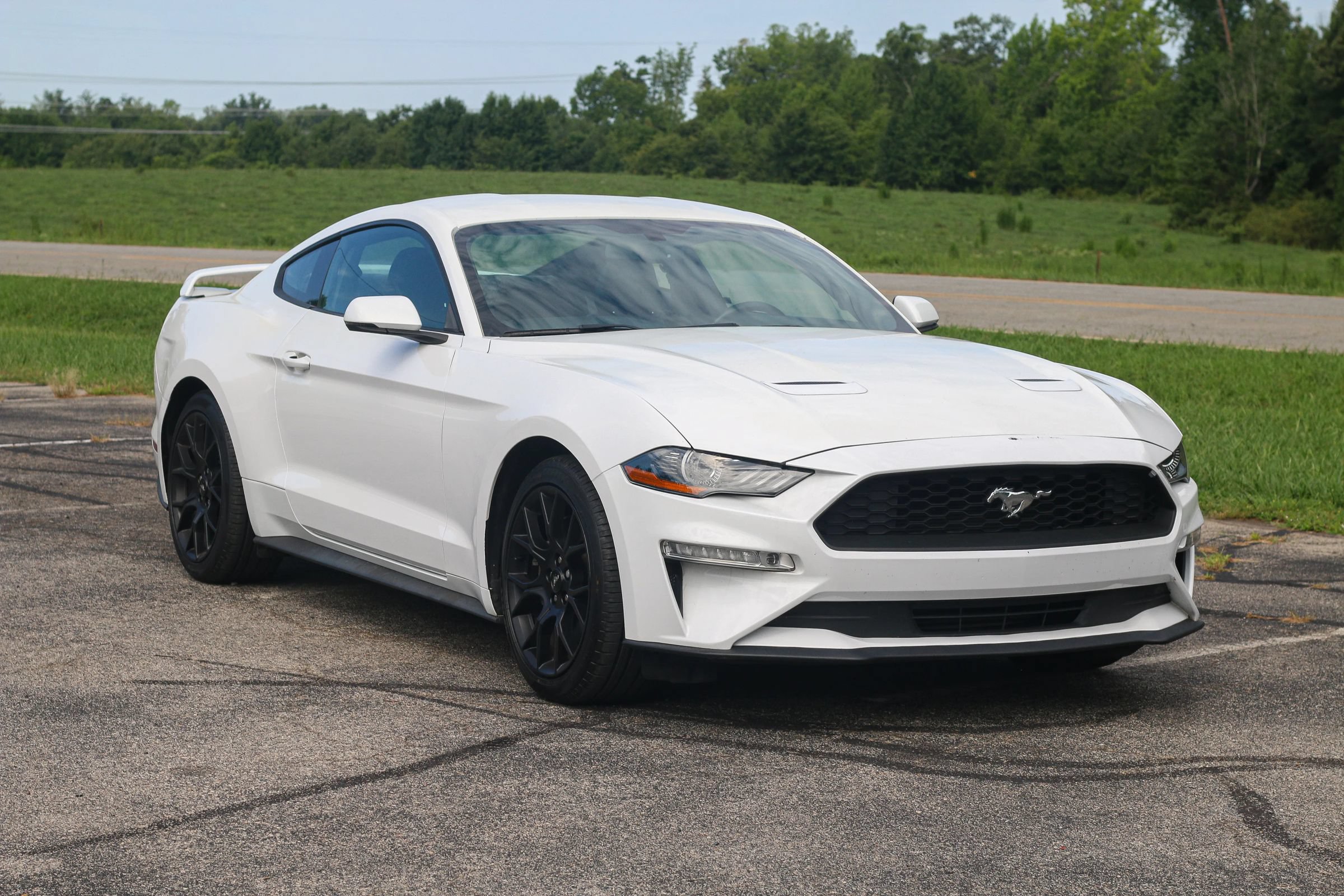 Used 2019 Ford Mustang Premium w/ Ecoboost Performance Package RWD image 1