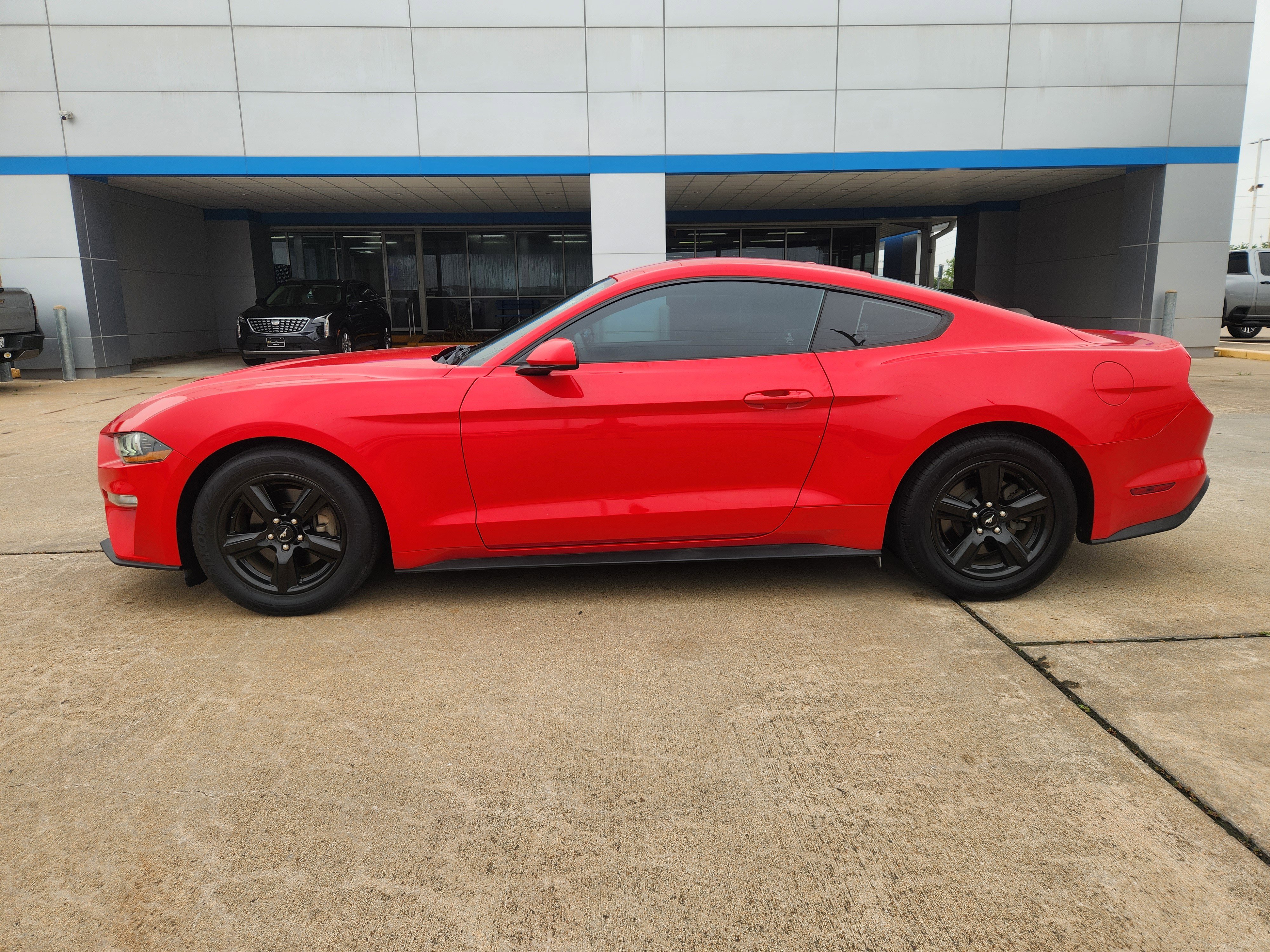 Used 2019 Ford Mustang Coupe RWD image 5