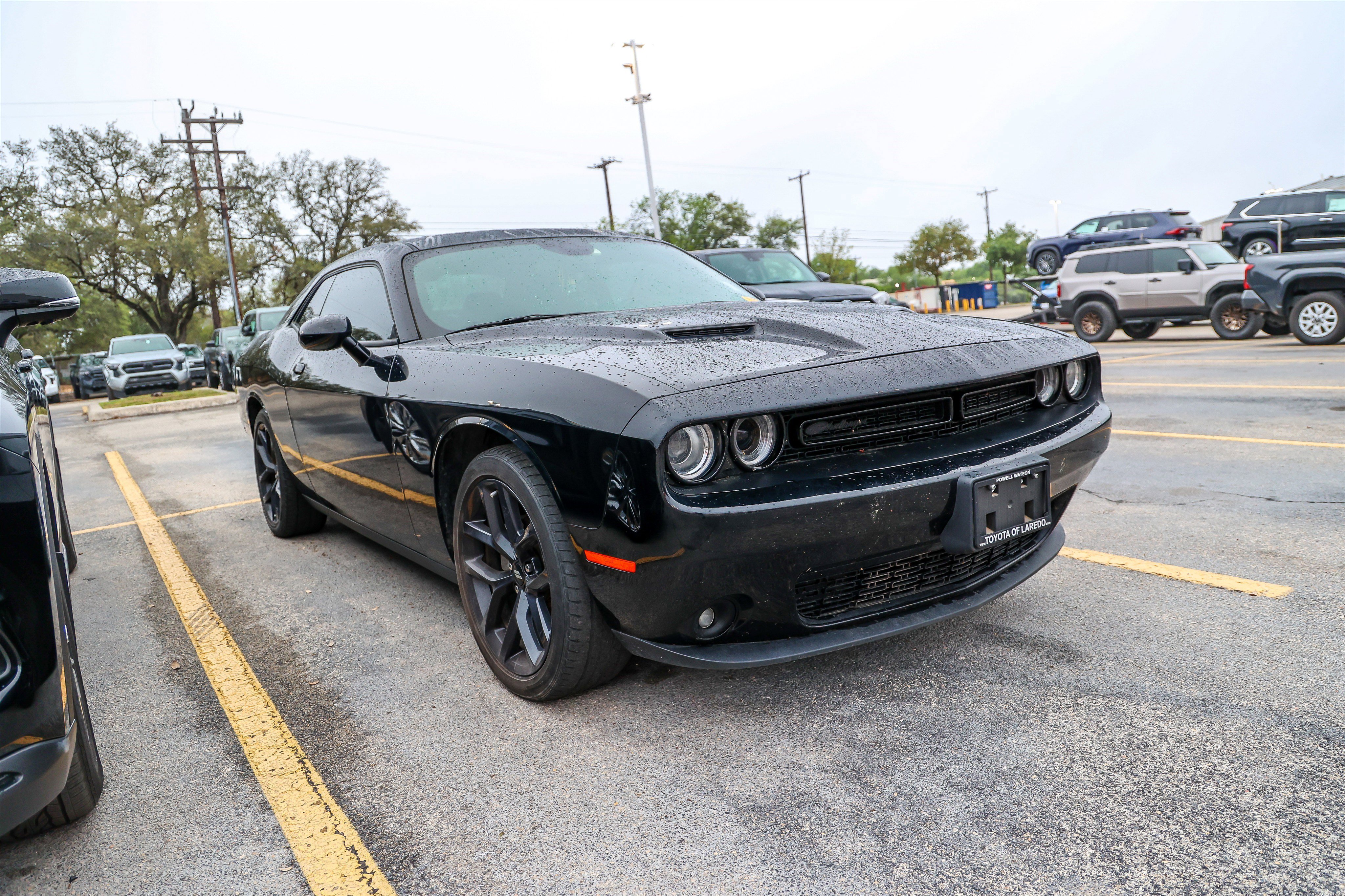 Used 2021 Dodge Challenger SXT w/ Blacktop Package image 6
