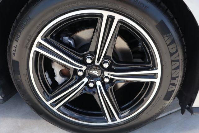 Used 2024 Ford Mustang Premium RWD image 50