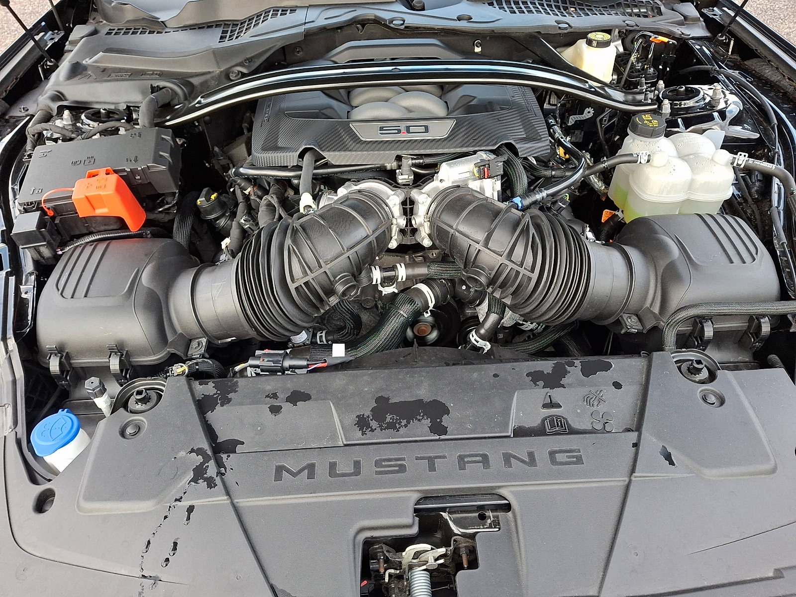 Certified 2024 Ford Mustang GT Premium image 29