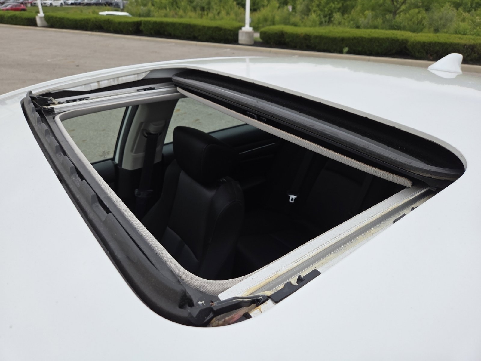 Used 2019 Honda Accord EX image 3
