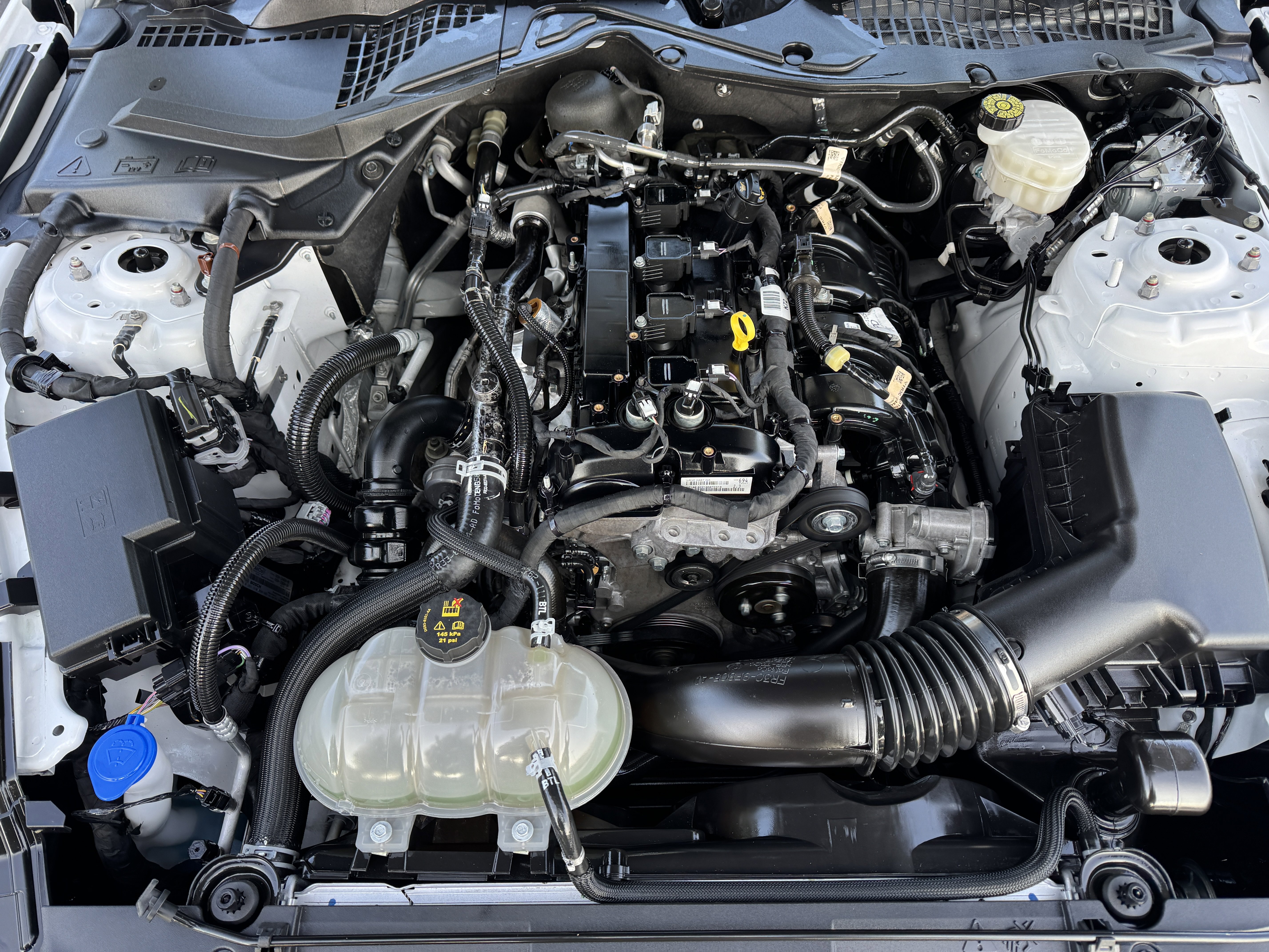 Used 2022 Ford Mustang Coupe w/ Equipment Group 101A image 23