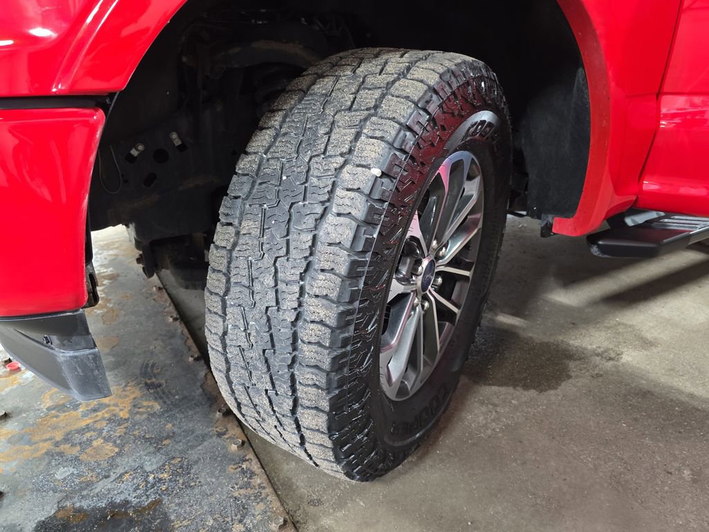 Used 2019 Ford F150 XLT w/ Equipment Group 302A Luxury AWD/4WD image 31