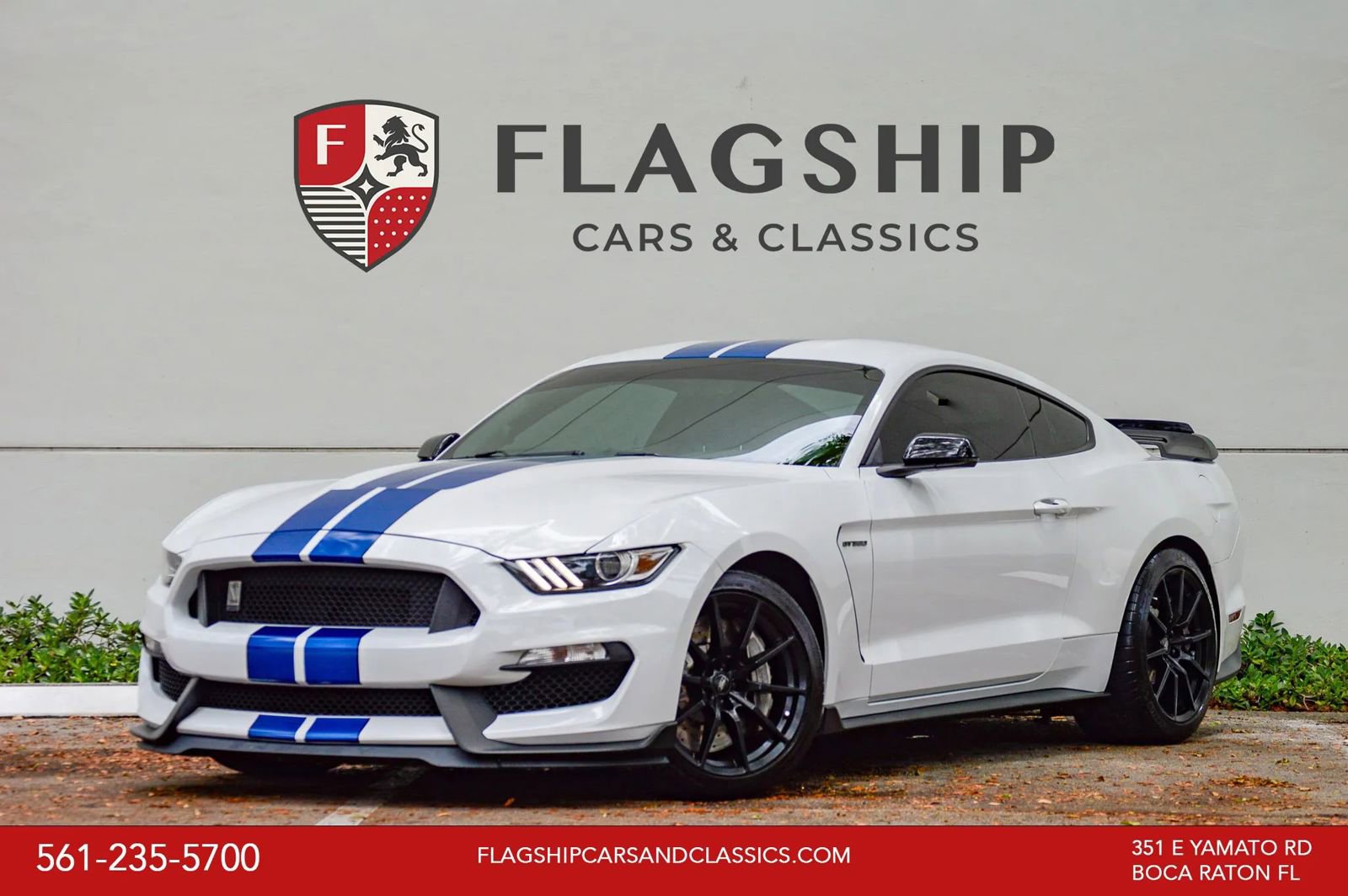 Used 2018 Ford Mustang Shelby GT350 w/ Convenience Package RWD video 1