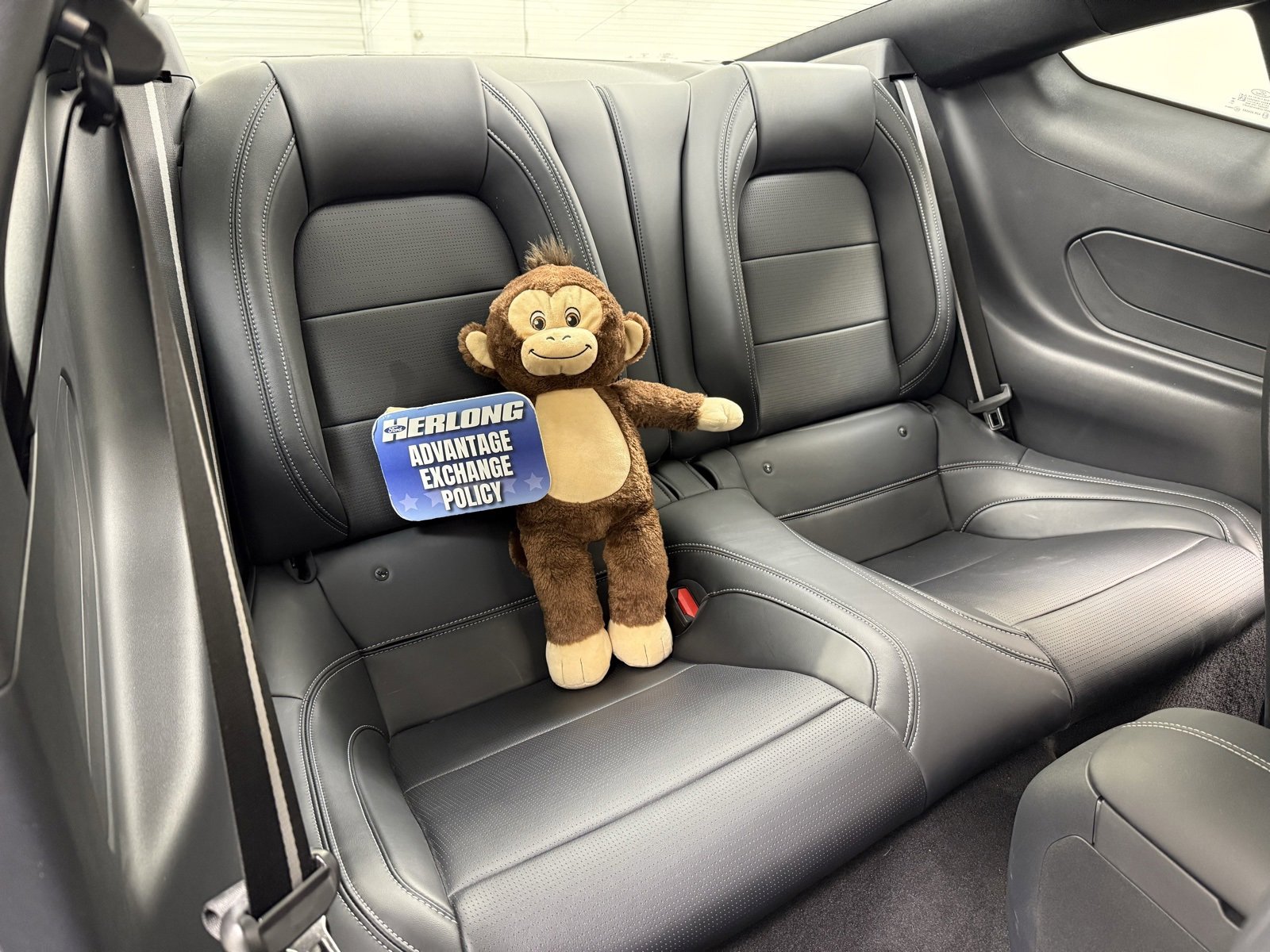 Used 2024 Ford Mustang GT Premium image 20