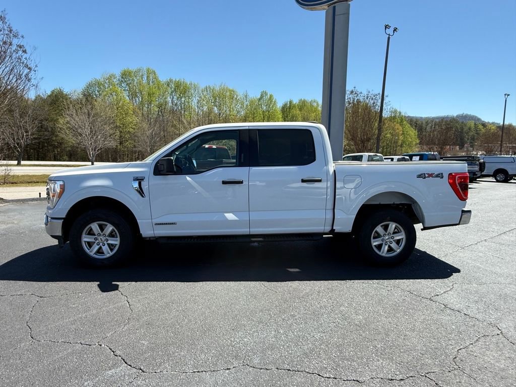Used 2022 Ford F150 XLT w/ Equipment Group 301A Mid image 7