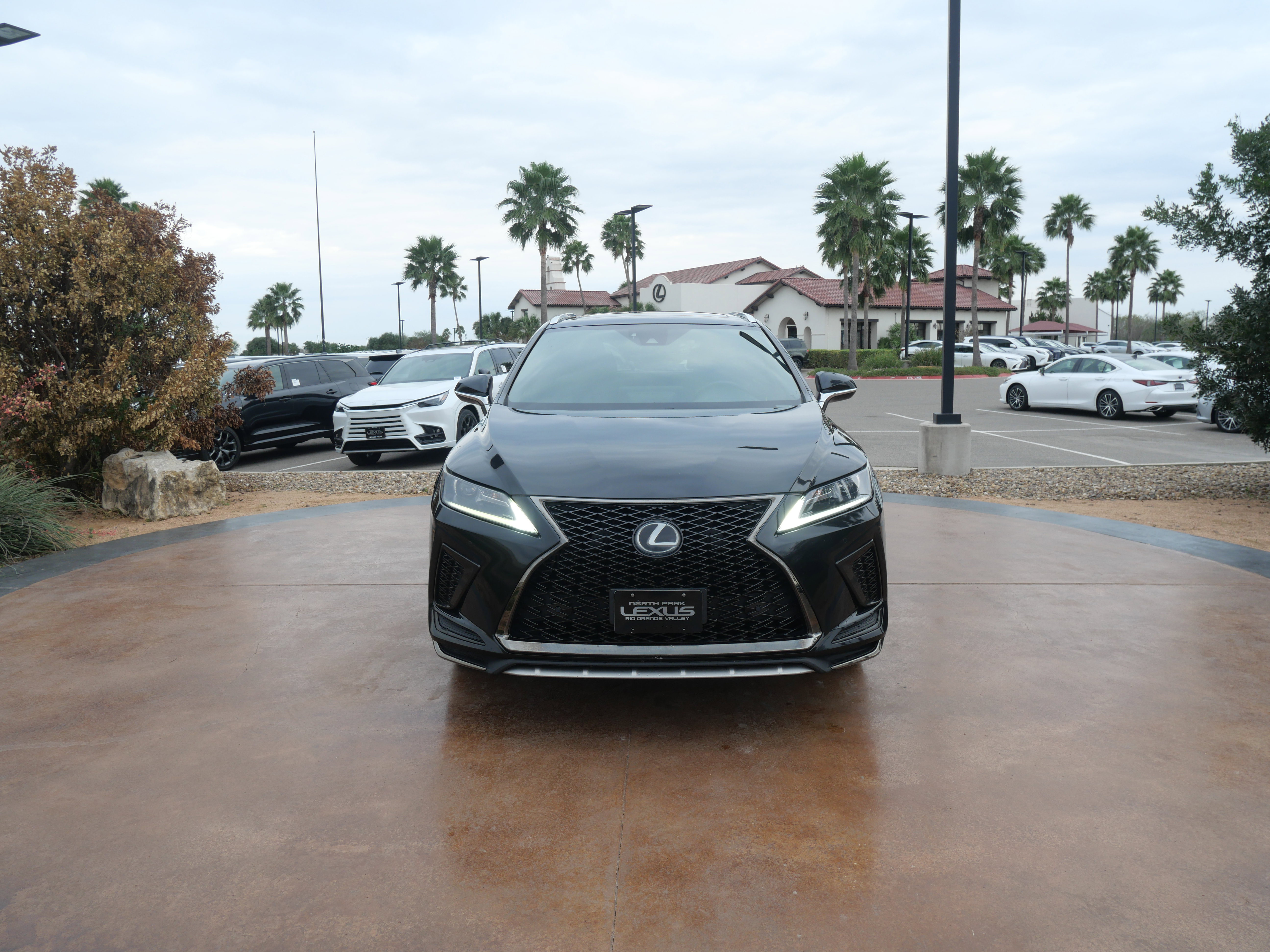 Used 2020 Lexus RX 350 F Sport image 6