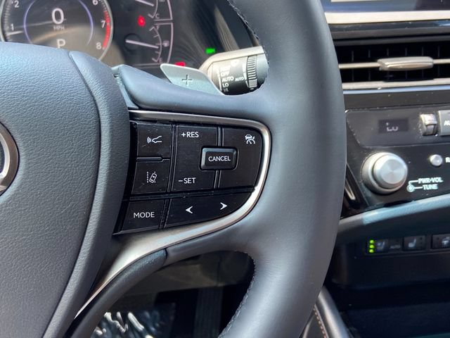 Certified 2023 Lexus ES 250 w/ Premium Package AWD/4WD image 19