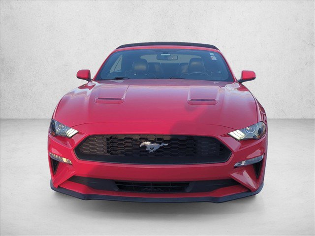 Used 2019 Ford Mustang Premium RWD image 2