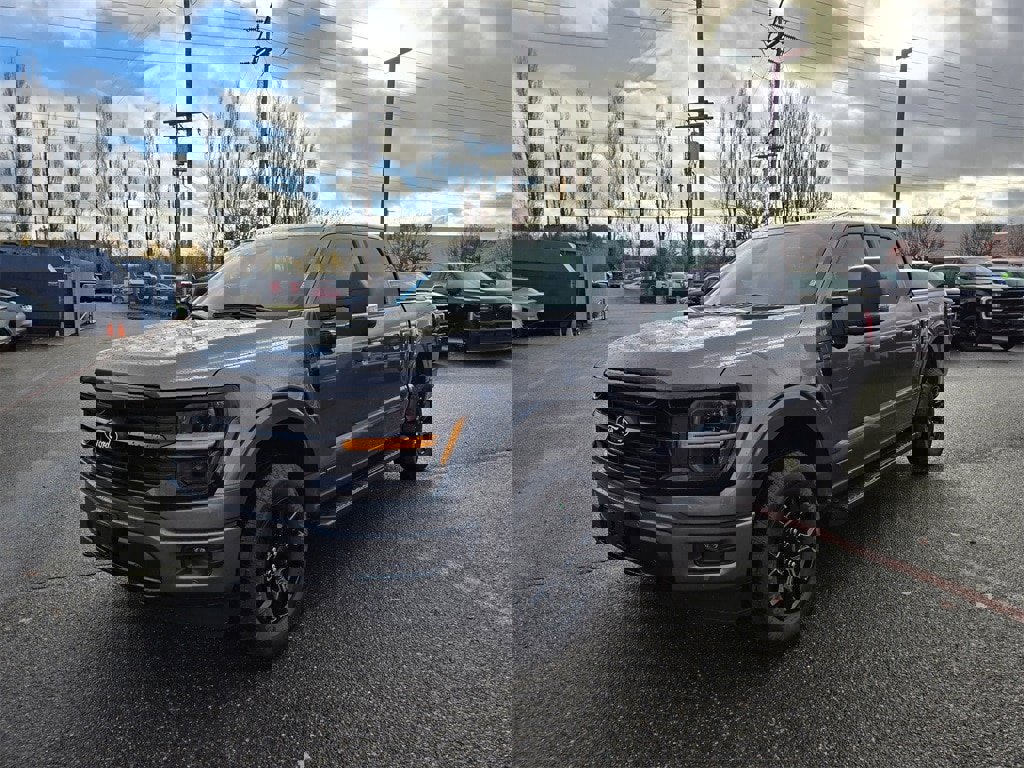 New 2025 Ford F150 XLT w/ Equipment Group 302A MID image 1