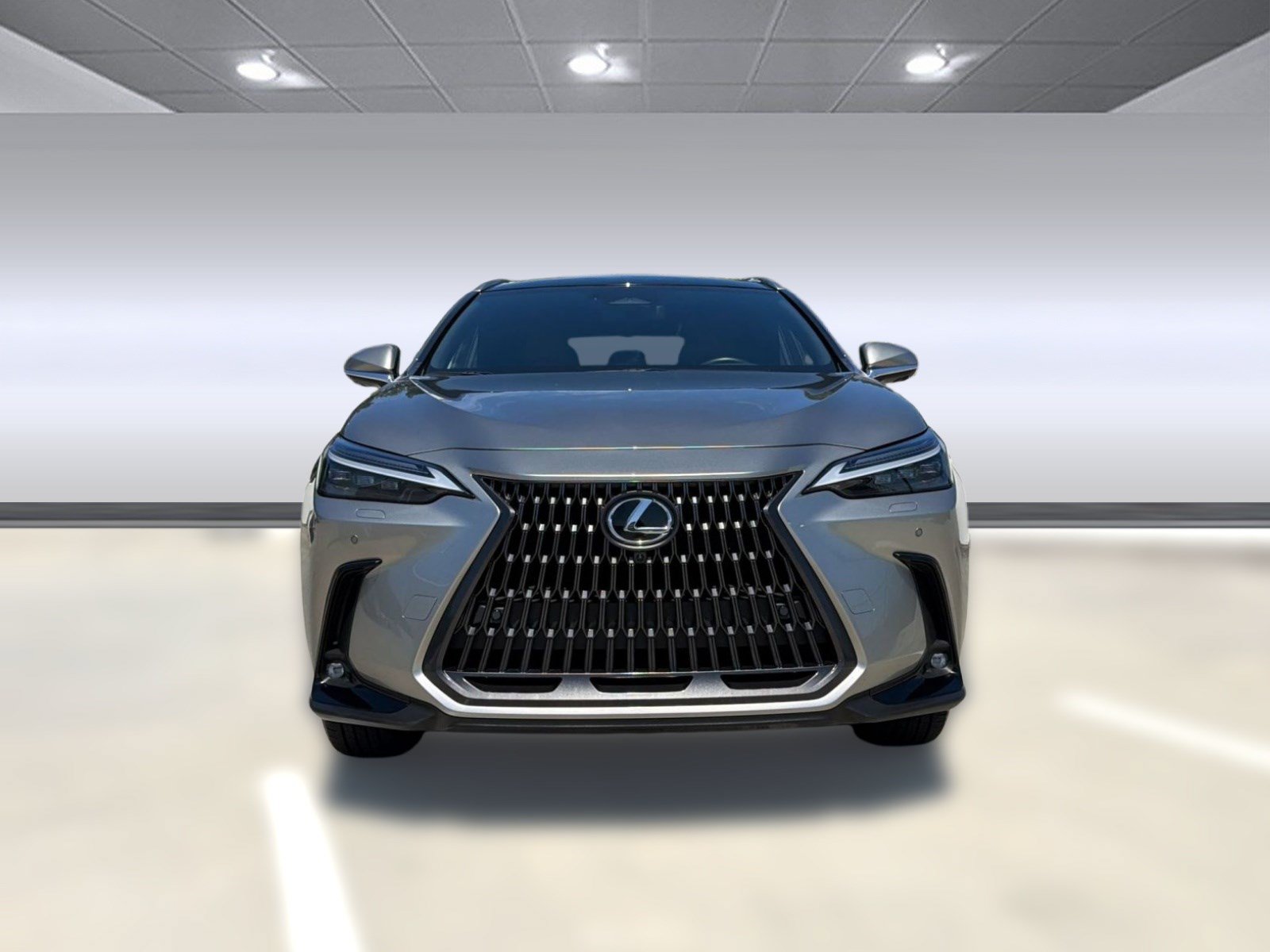 Used 2024 Lexus NX 350h AWD w/ Vision Package image 5