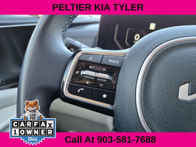 Used 2025 Kia Carnival SX image 34