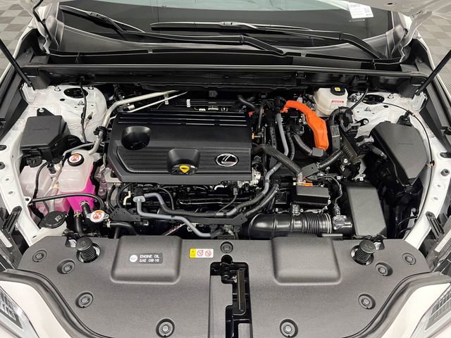 Certified 2024 Lexus NX 350h AWD w/ Cold Area Package image 23
