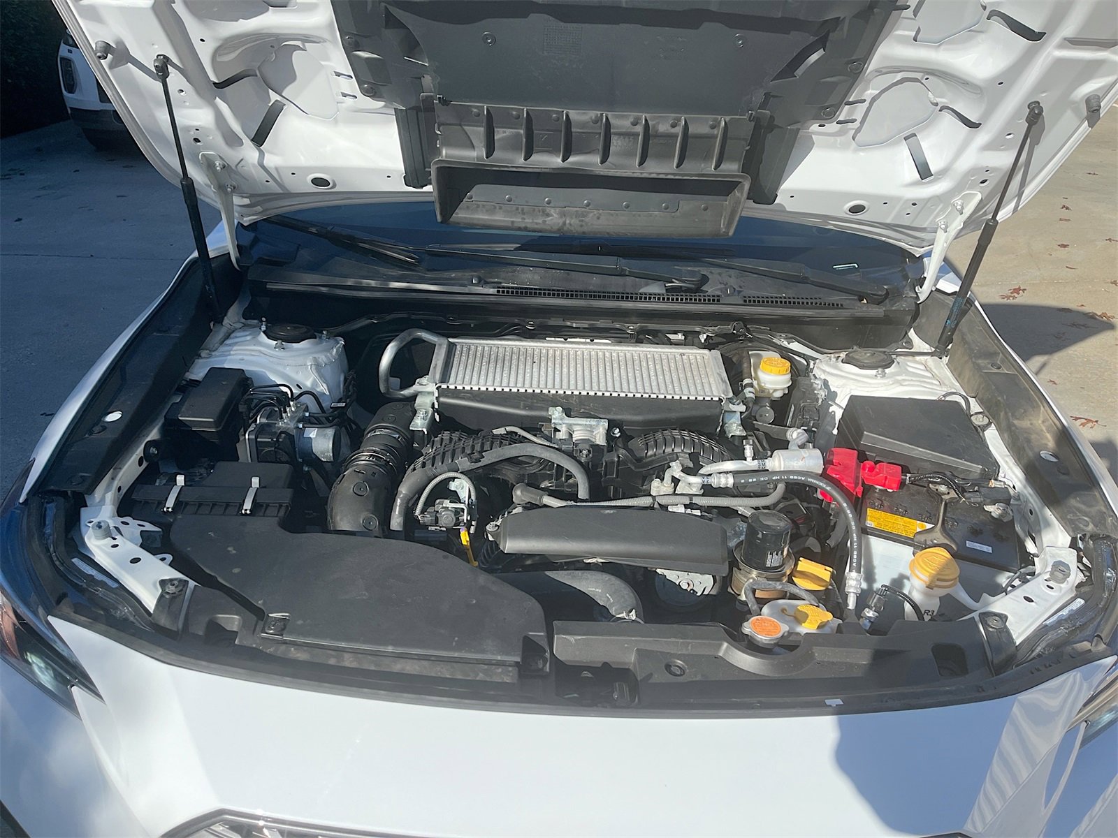 Used 2024 Subaru WRX Premium image 28