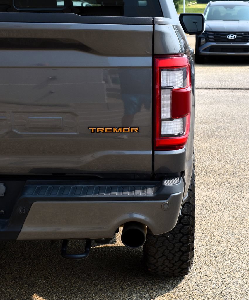 Used 2023 Ford F150 Tremor w/ Equipment Group 402A High AWD/4WD image 13