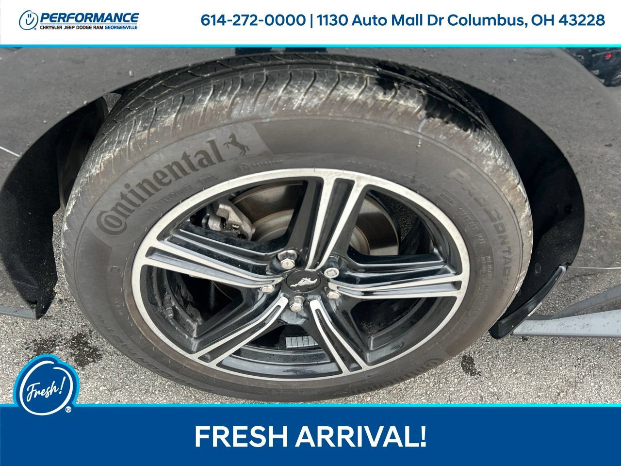 Used 2024 Ford Mustang Coupe RWD image 11