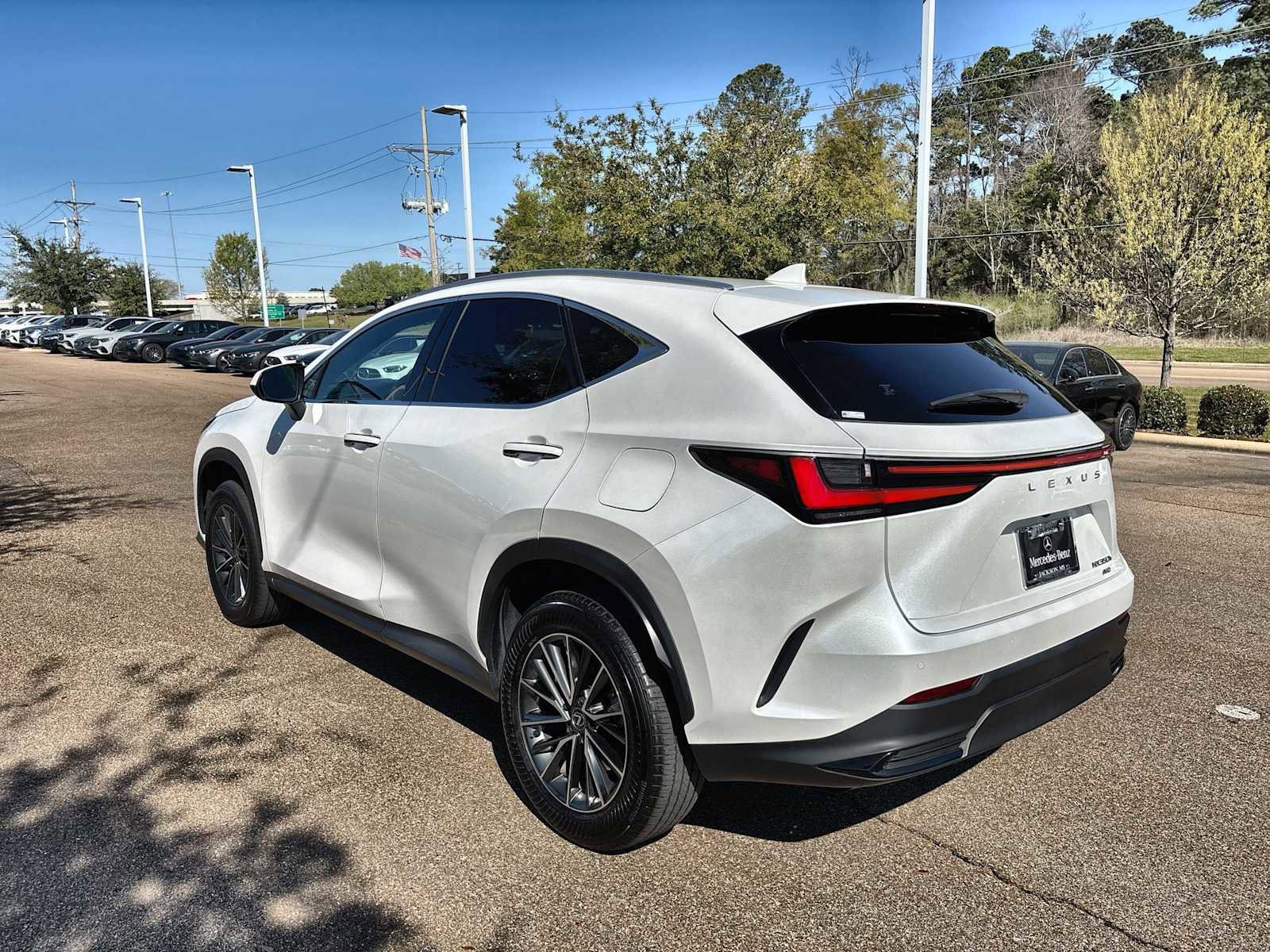 Used 2025 Lexus NX 350h AWD w/ Cold Area Package image 6