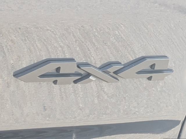 Used 2025 RAM 1500 RHO w/ RHO Level 1 Equipment Group image 13