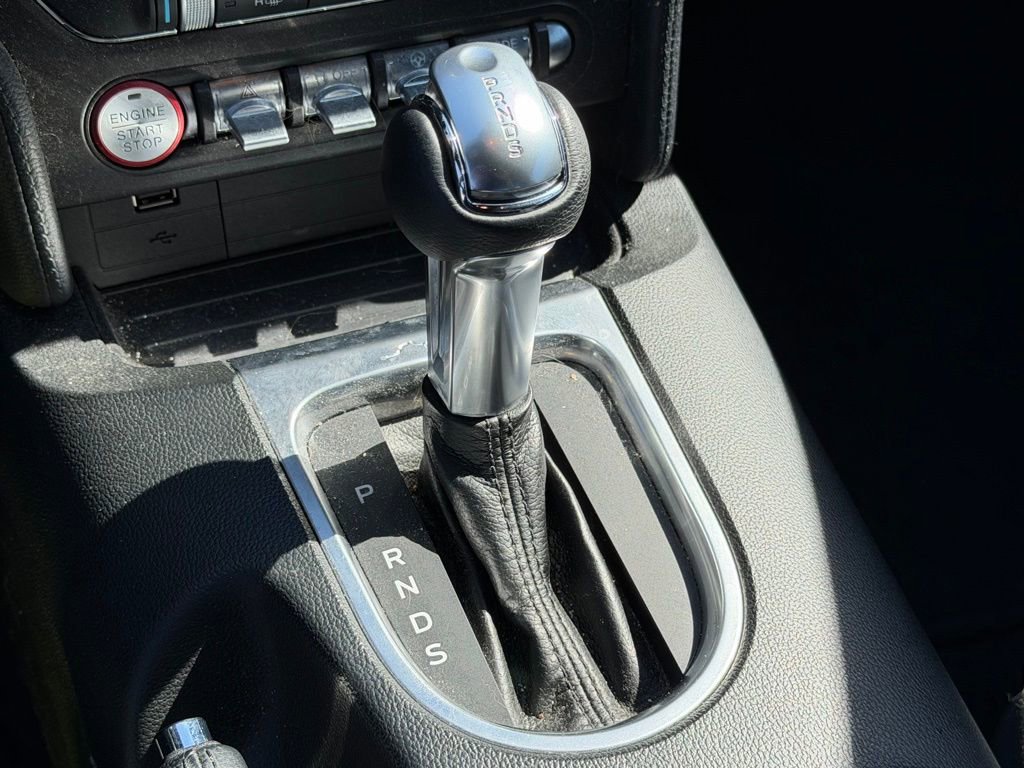 Used 2019 Ford Mustang EcoBoost w/ Equipment Group 101A image 18