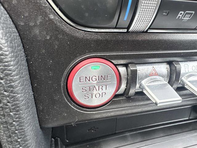 Used 2021 Ford Mustang GT w/ Equipment Group 301A RWD image 34