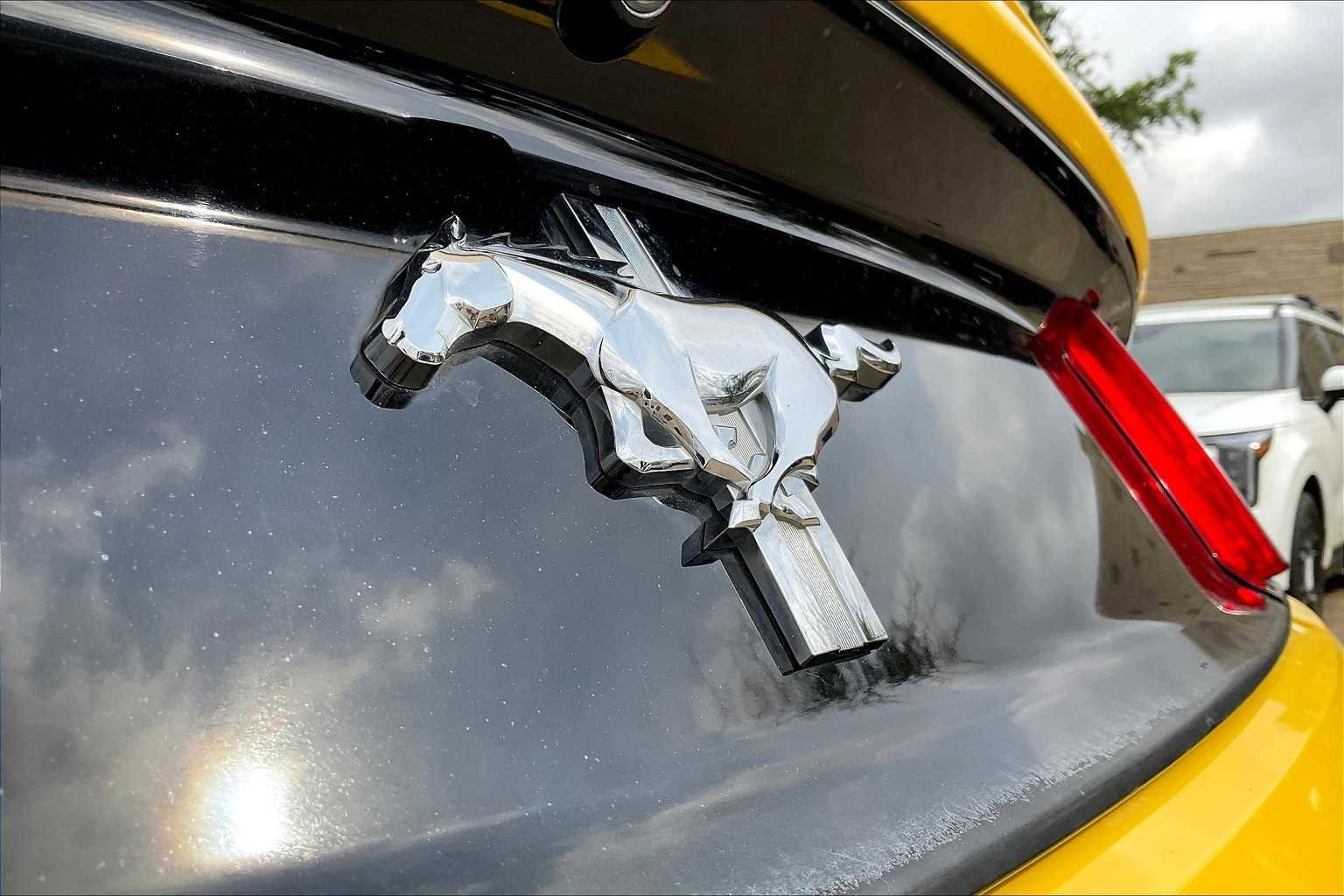 Used 2015 Ford Mustang V6 w/ Equipment Group 051A image 7