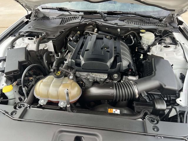 Used 2016 Ford Mustang Premium w/ Wheel & Stripe Package image 11