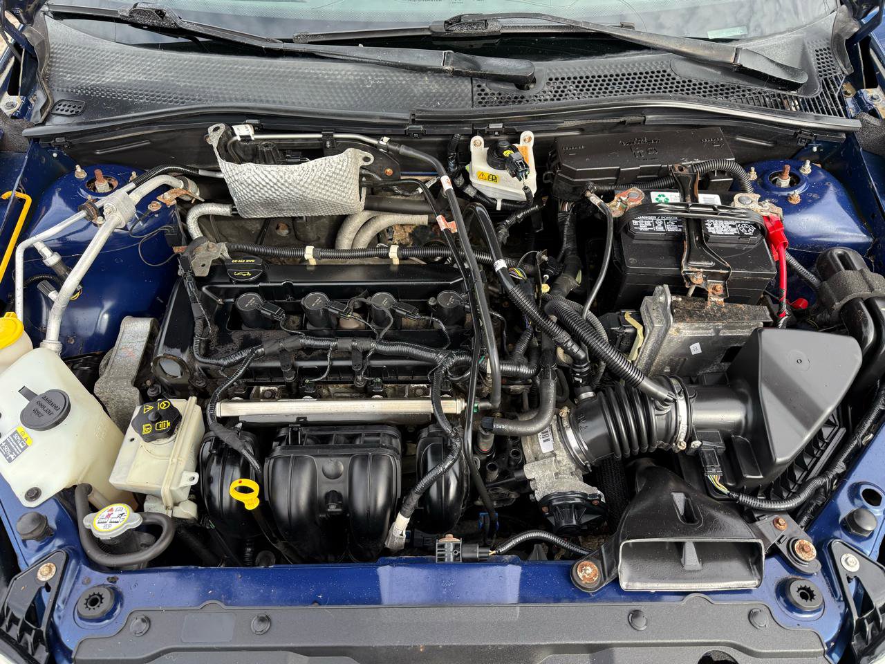 Used 2008 Ford Focus SE image 26