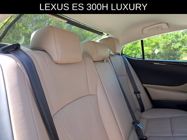 Used 2019 Lexus ES 300h w/ Accessory Package 2 FWD image 14