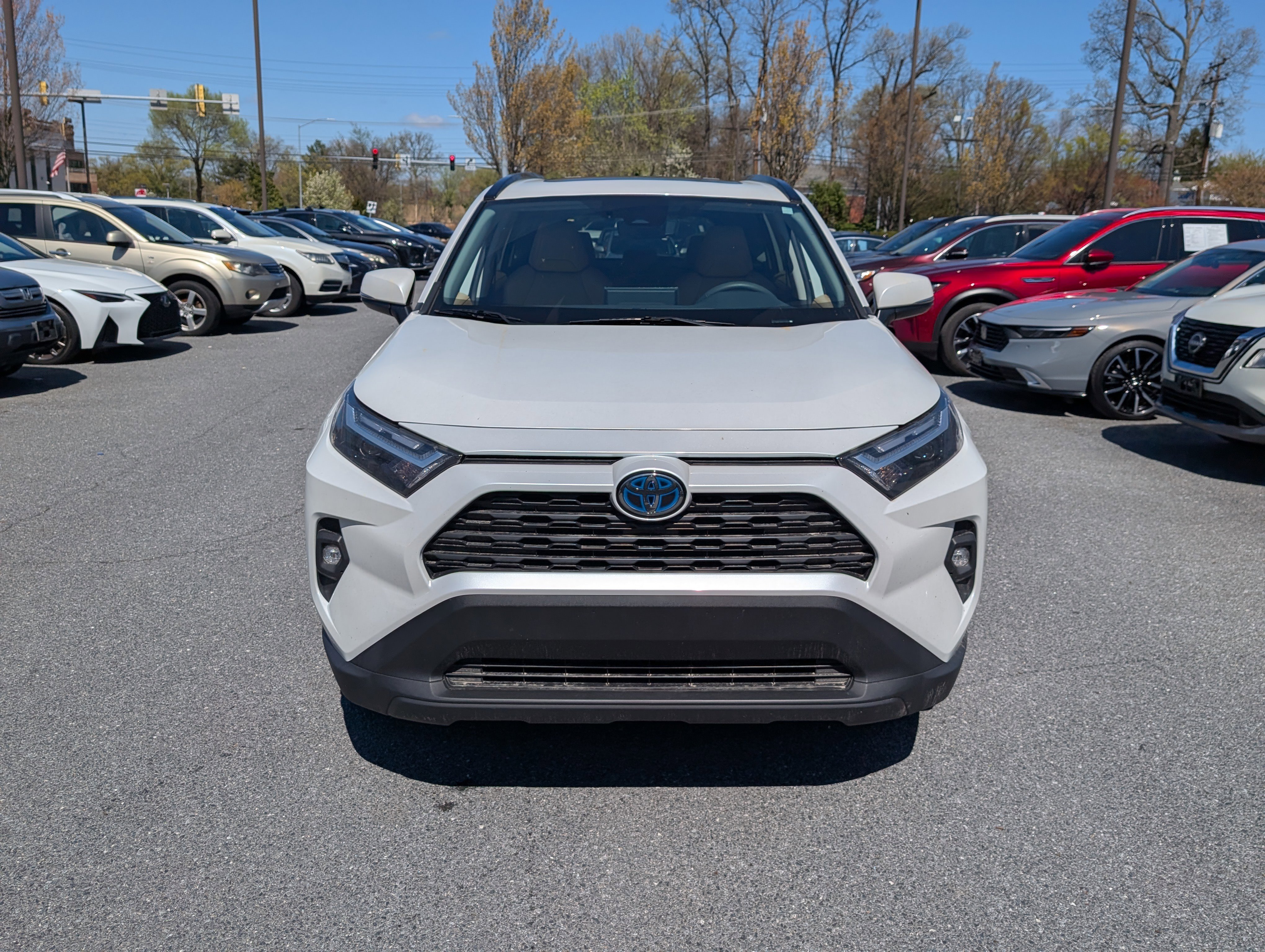 Used 2023 Toyota RAV4 XLE Premium AWD/4WD image 8
