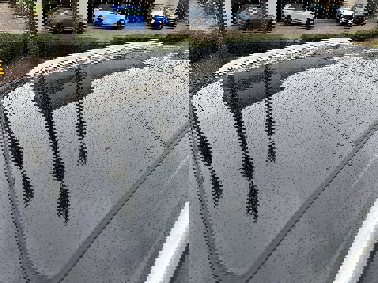 New 2026 Cadillac Escalade Luxury w/ Touring Package image 11