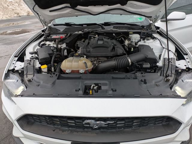 Used 2019 Ford Mustang Coupe RWD image 20