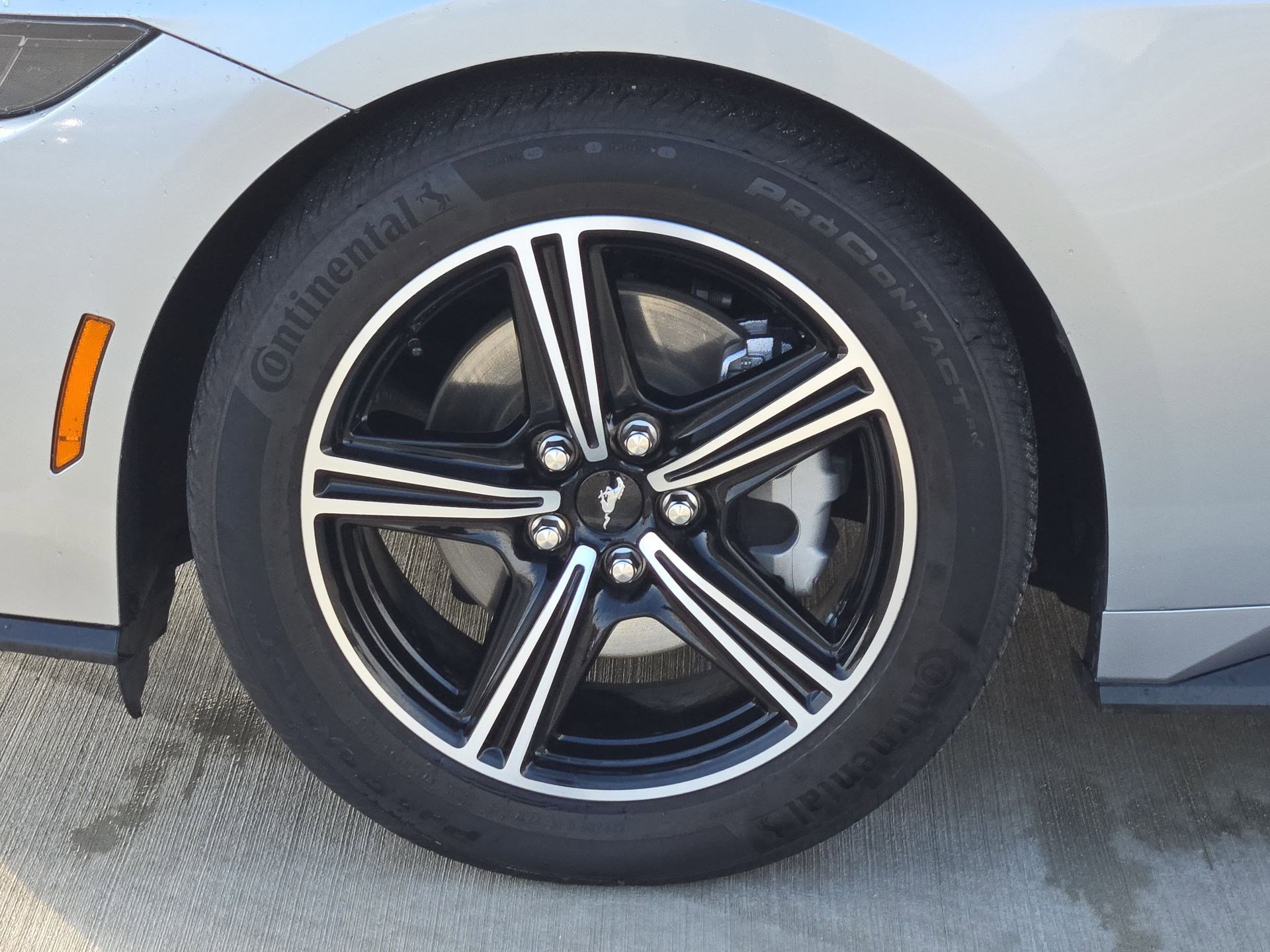 Used 2025 Ford Mustang Premium RWD image 12