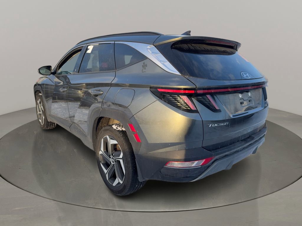Used 2023 Hyundai Tucson Limited AWD/4WD image 3