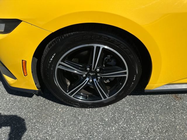 Used 2024 Ford Mustang Premium RWD image 24