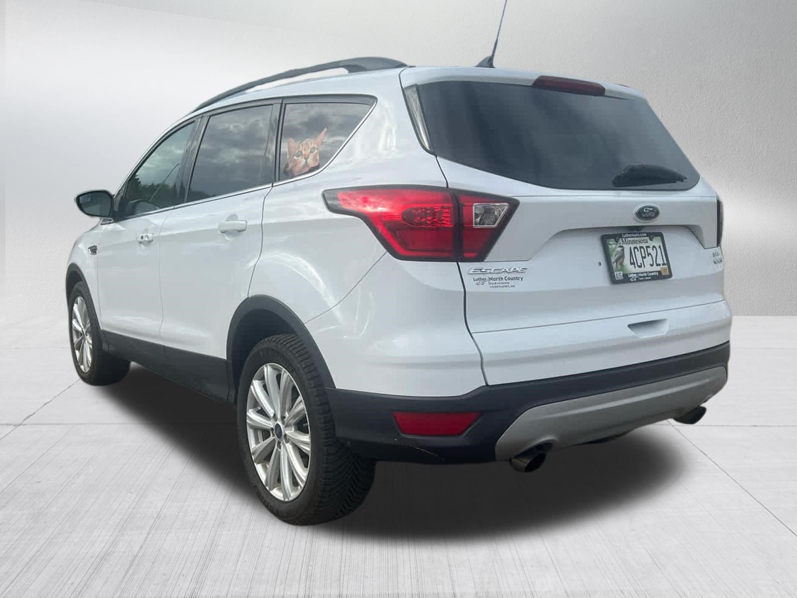 Used 2019 Ford Escape SEL AWD/4WD image 5