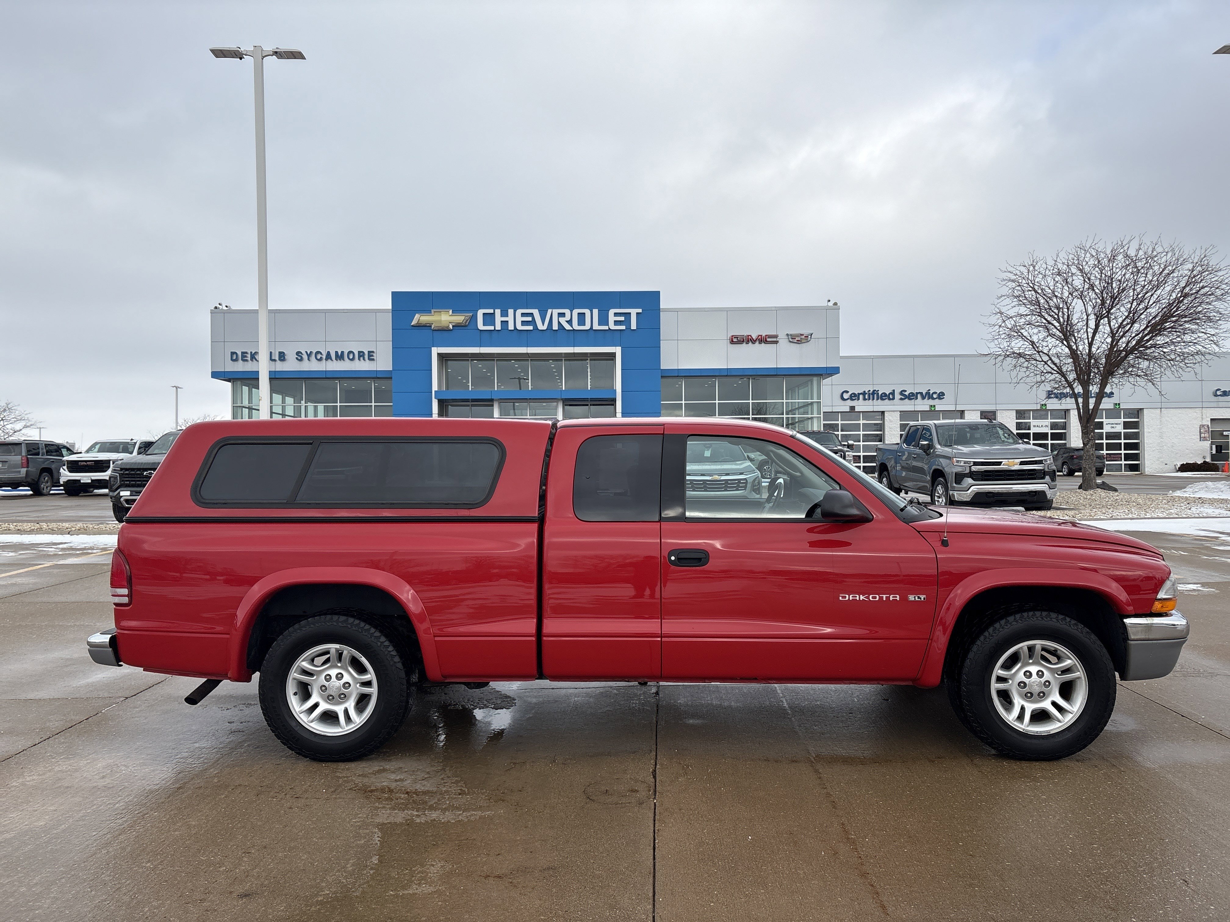 Used 2002 Dodge Dakota SLT image 7