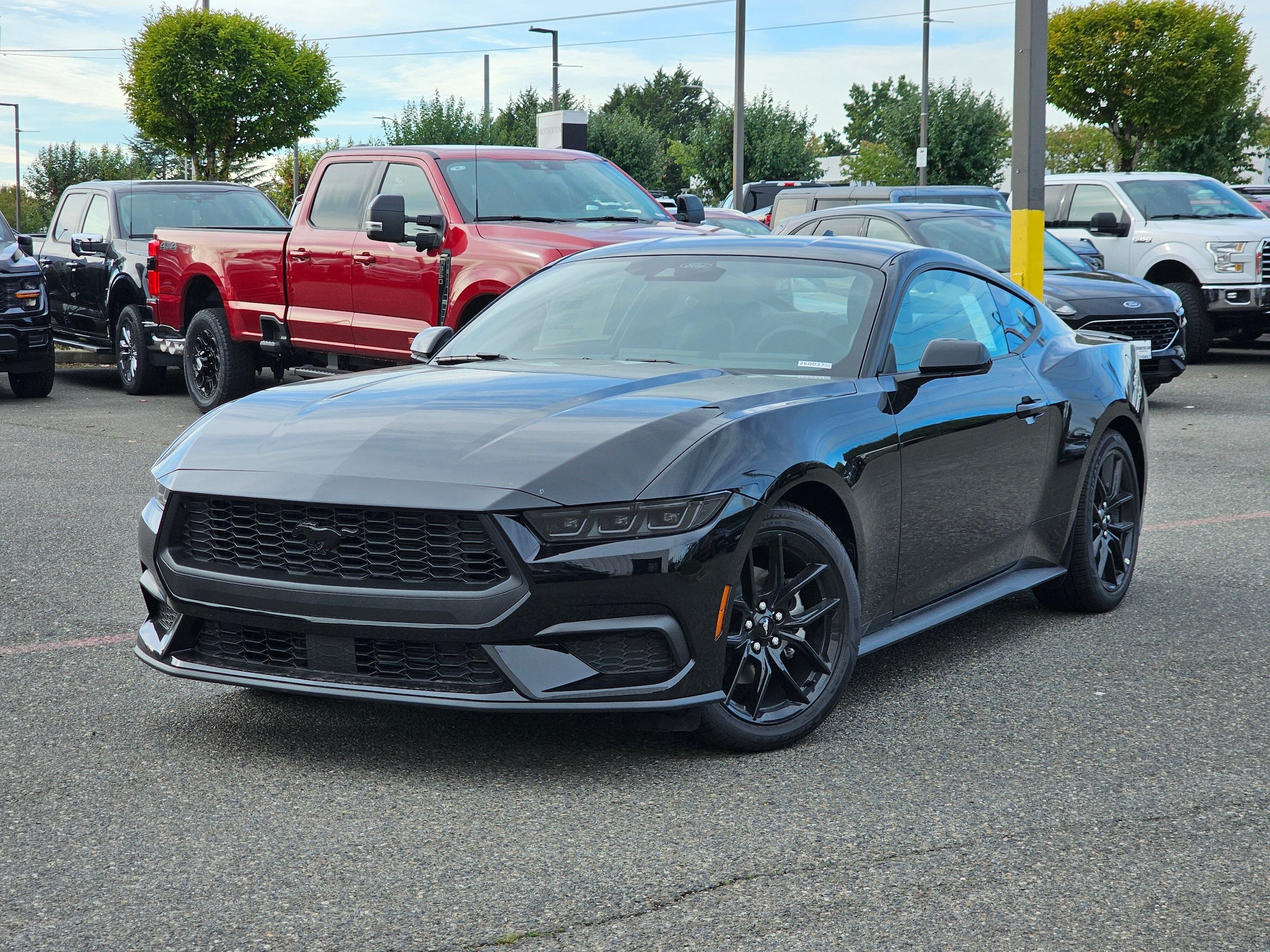 New 2026 Ford Mustang Premium w/ Mustang Nite Pony Package RWD image 1