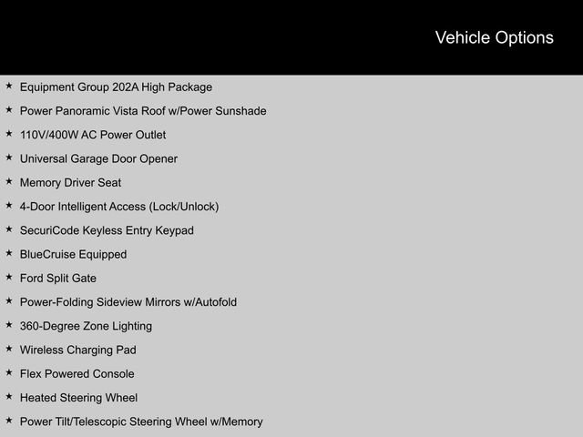 Used 2025 Ford Expedition Max Active image 2